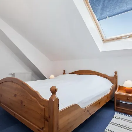 Papillon 08-5 博尔滕哈根