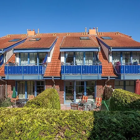 Papillon 08-5 博尔滕哈根